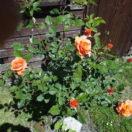 Chez Mamie Et Papi *