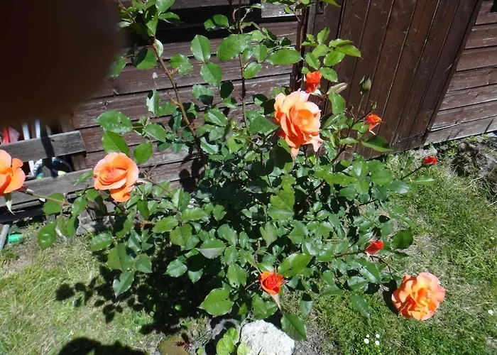 Chez Mamie Et Papi *